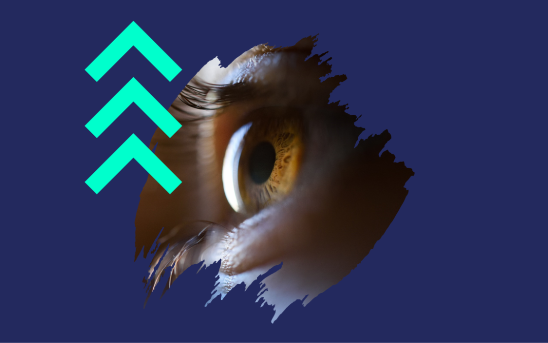 2024 Market Intelligence Meeting (TV)