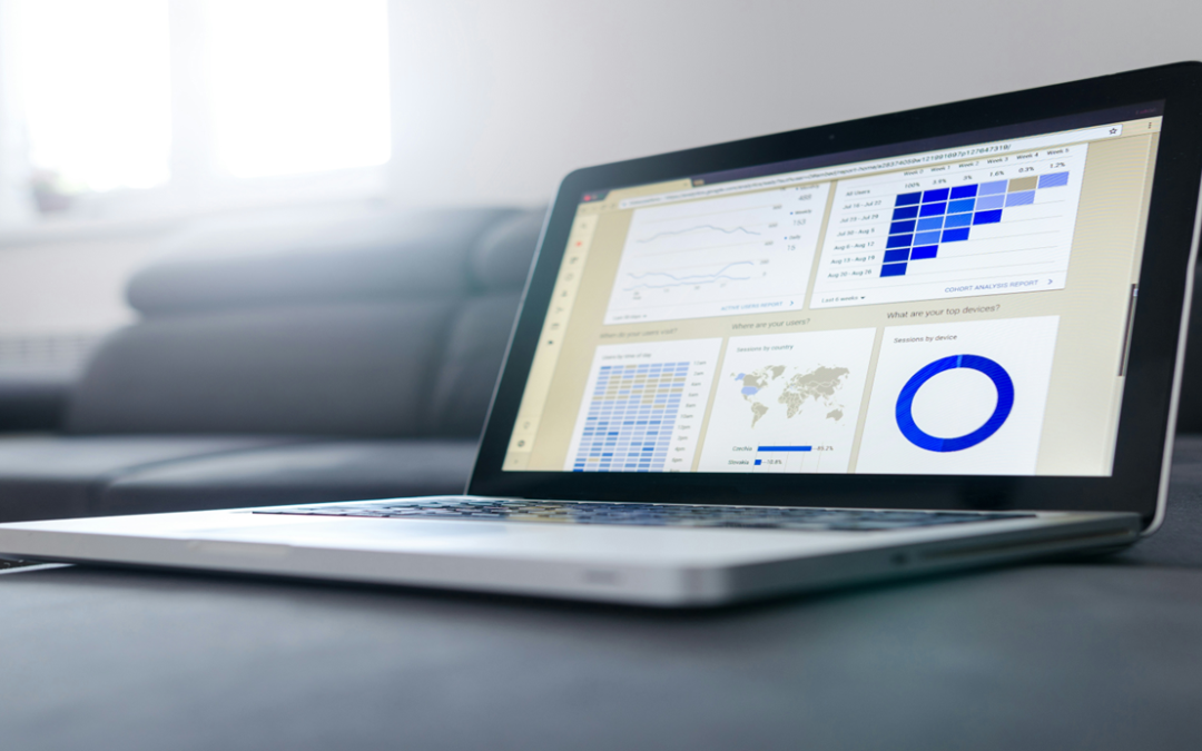 CEOs & Top Executives Survey 2024